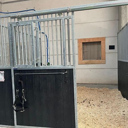 Apartament T Klein Kasteeltje Wetteren Zewnętrze zdjęcie